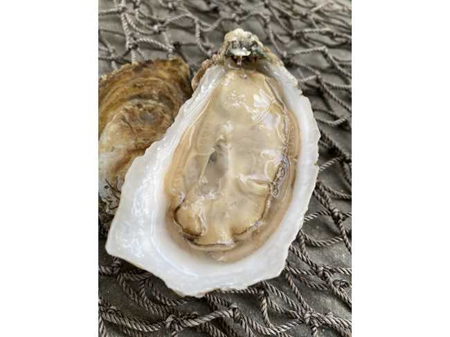 Sweet Peake Oyster - 25 count
